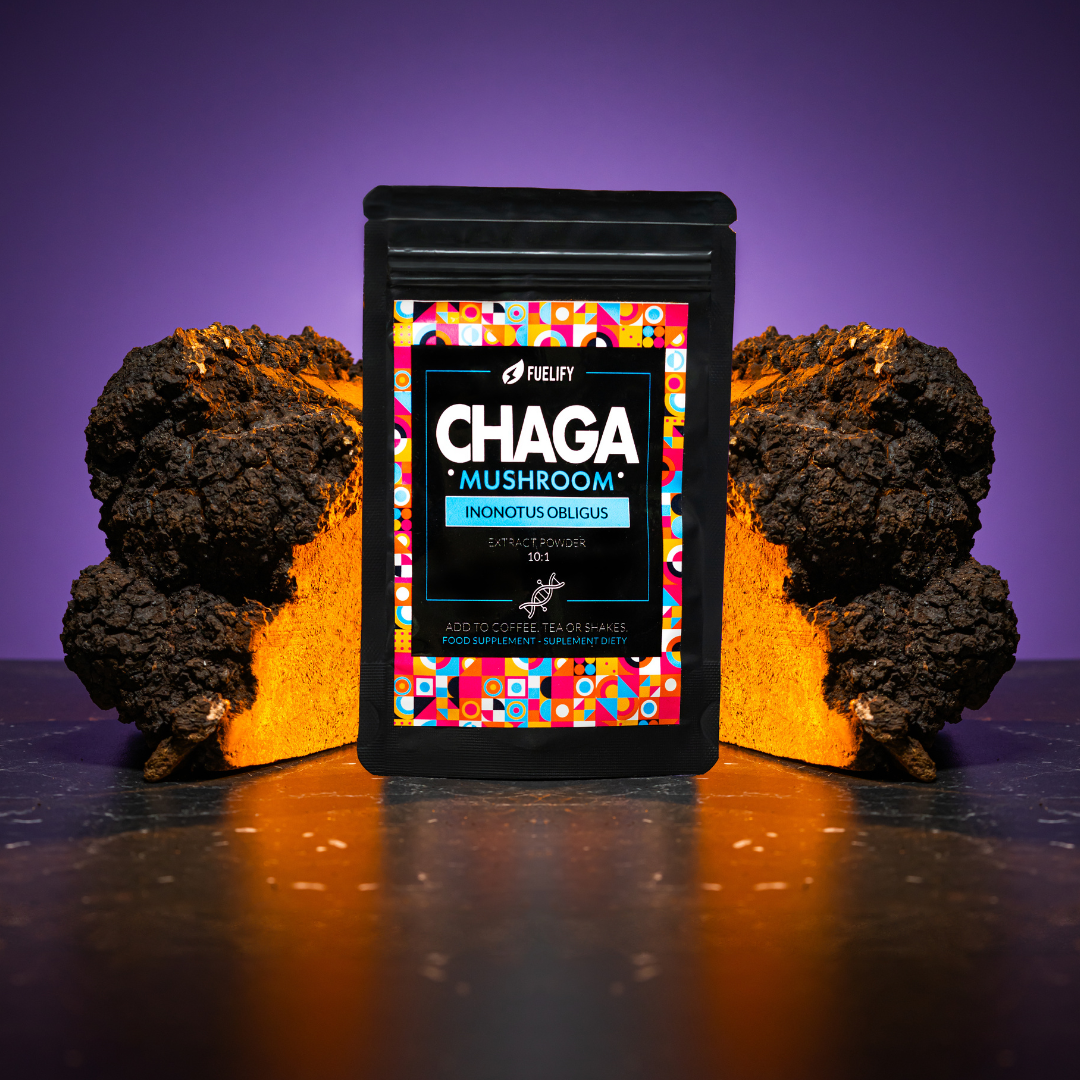 CHAGA (BŁYSKOPOREK PODKOROWY) MUSHROOM POWDER 10:1