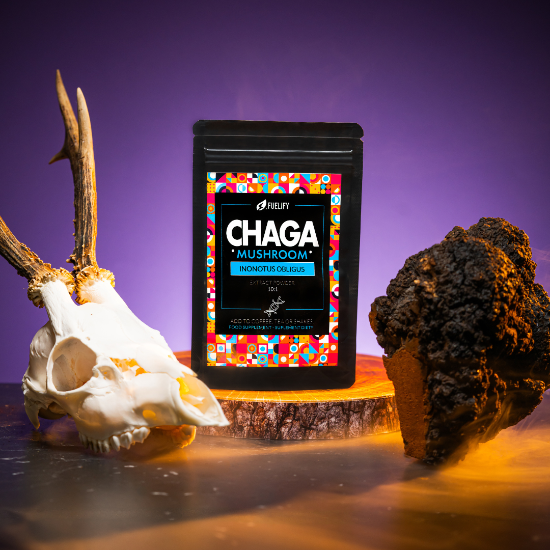 CHAGA (BŁYSKOPOREK PODKOROWY) MUSHROOM POWDER 10:1