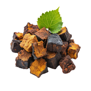 CHAGA