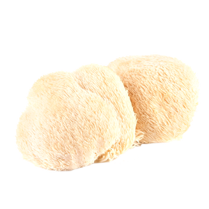 LION'S MANE